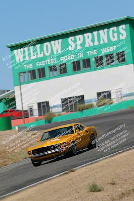 media/May-07-2022-Cobra Owners Club of America (Sat) [[e681d2ddb7]]/Yellow/Session 1 (Turn 4)/